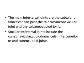• The main intertarsal joints are the subtalar or
talocalcanean joint,the talocalcaneonavicular
joint and the calcaneocubiod joint.
• Smaller intertarsal joints include the
cuneonavicular,cubiodonavicular,intercuneifor
m and cuneocuboid joints
 