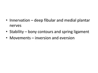 Joints of the foot.pptx Gross anatomy of the lower limb | PPT