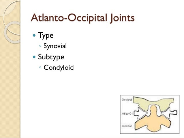 atlanto occipital joint