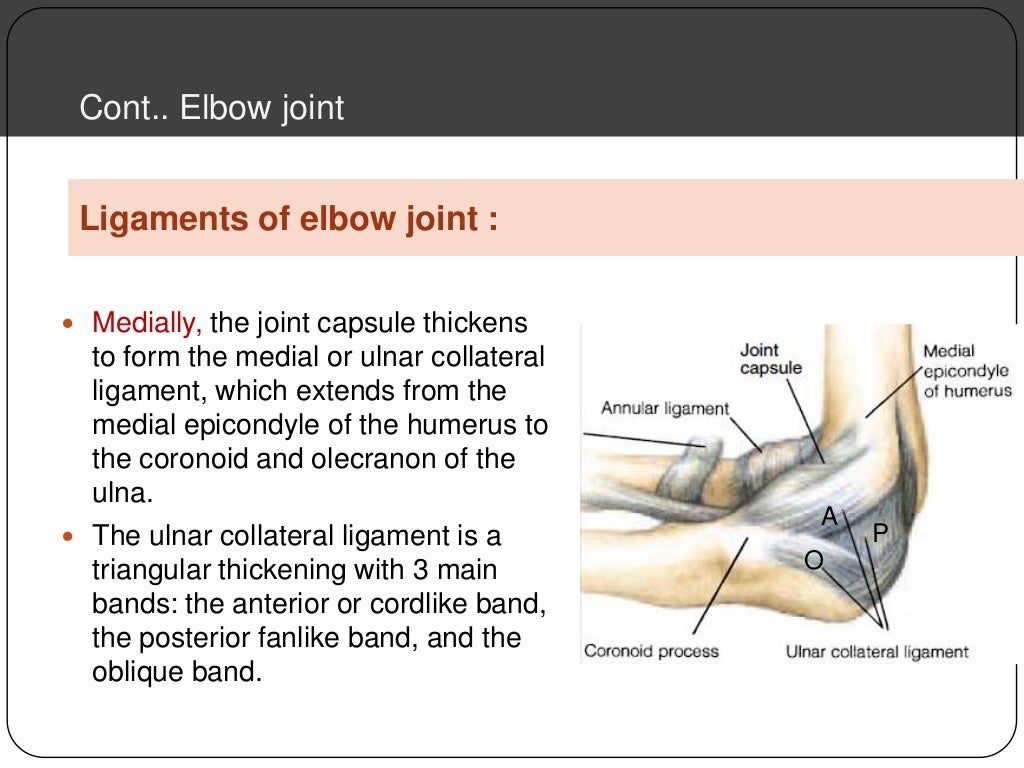 Upper Limb Joints