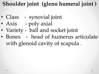 Shoulder joint (gleno humeral joint )
• Class - synovial joint
• Axis - poly axial
• Variety - ball and socket joint
• Bones - head of humerus articulate
with glenoid cavity of scapula .
 