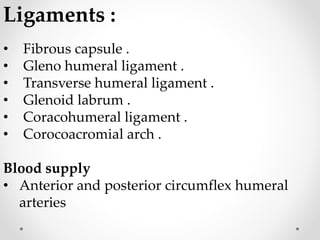 Ligaments :
• Fibrous capsule .
• Gleno humeral ligament .
• Transverse humeral ligament .
• Glenoid labrum .
• Coracohumeral ligament .
• Corocoacromial arch .
Blood supply
• Anterior and posterior circumflex humeral
arteries
 