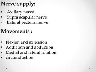 Nerve supply:
• Axillary nerve
• Supra scapular nerve
• Lateral pectoral nerve
Movements :
• Flexion and extension
• Addiction and abduction
• Medial and lateral rotation
• circumduction
 