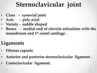 Sternoclavicular joint
• Class - synovial joint
• Axis - poly axial
• Variety - saddle shaped
• Bones - medial end of clavicle articulates with the
manubrium and 1st costal cartilage .
Ligaments
• Fibrous capsule.
• Anterior and posterior sternoclavicular ligament .
• Costoclavicular ligament.
 