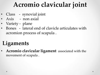 Acromio clavicular joint
• Class - synovial joint
• Axis - non axial
• Variety - plane
• Bones - lateral end of clavicle articulates with
acromion process of scapula .
Ligaments
• Acromio clavicular ligament associated with the
movement of scapula .
 