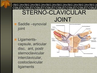 STERNO-CLAVICULAR
JOINT
 Saddle –synovial
joint
 Ligaments-
capsule, articular
disc, ant, postr
sternoclavicular
interclavicular,
costoclavicular
ligaments
 