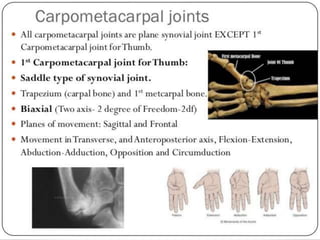 Joints of upper limbs 