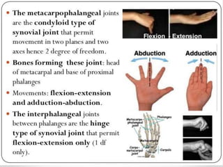 Joints of upper limbs 
