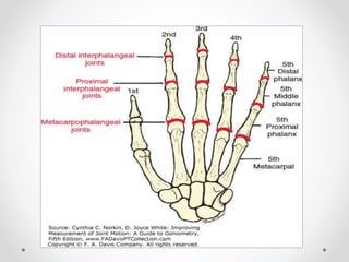 Joints of upper limbs 