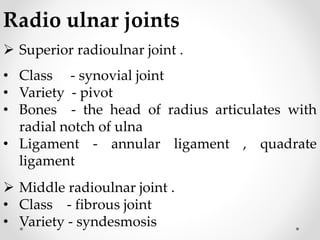 Radio ulnar joints
 Superior radioulnar joint .
• Class - synovial joint
• Variety - pivot
• Bones - the head of radius articulates with
radial notch of ulna
• Ligament - annular ligament , quadrate
ligament
 Middle radioulnar joint .
• Class - fibrous joint
• Variety - syndesmosis
 