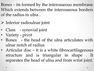 Bones – its formed by the interosseous membrane
Which extends between the interosseous borders
of the radius to ulna .
 Inferior radioulnar joint
• Class - synovial joint
• Variety - pivot
• Bones - the head of the ulna articulates with
ulnar notch of radius
• Articular disc – it is a white fibrocartilagenous
structure and is triangular in shape . It
separates the head of ulna and from wrist joint.
 