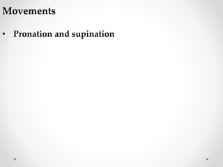 Movements
• Pronation and supination
 