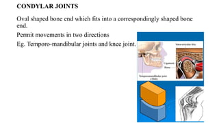 Os Multangular Joint Comprehensive Overview of Human Joints: Types, Structures, and ...