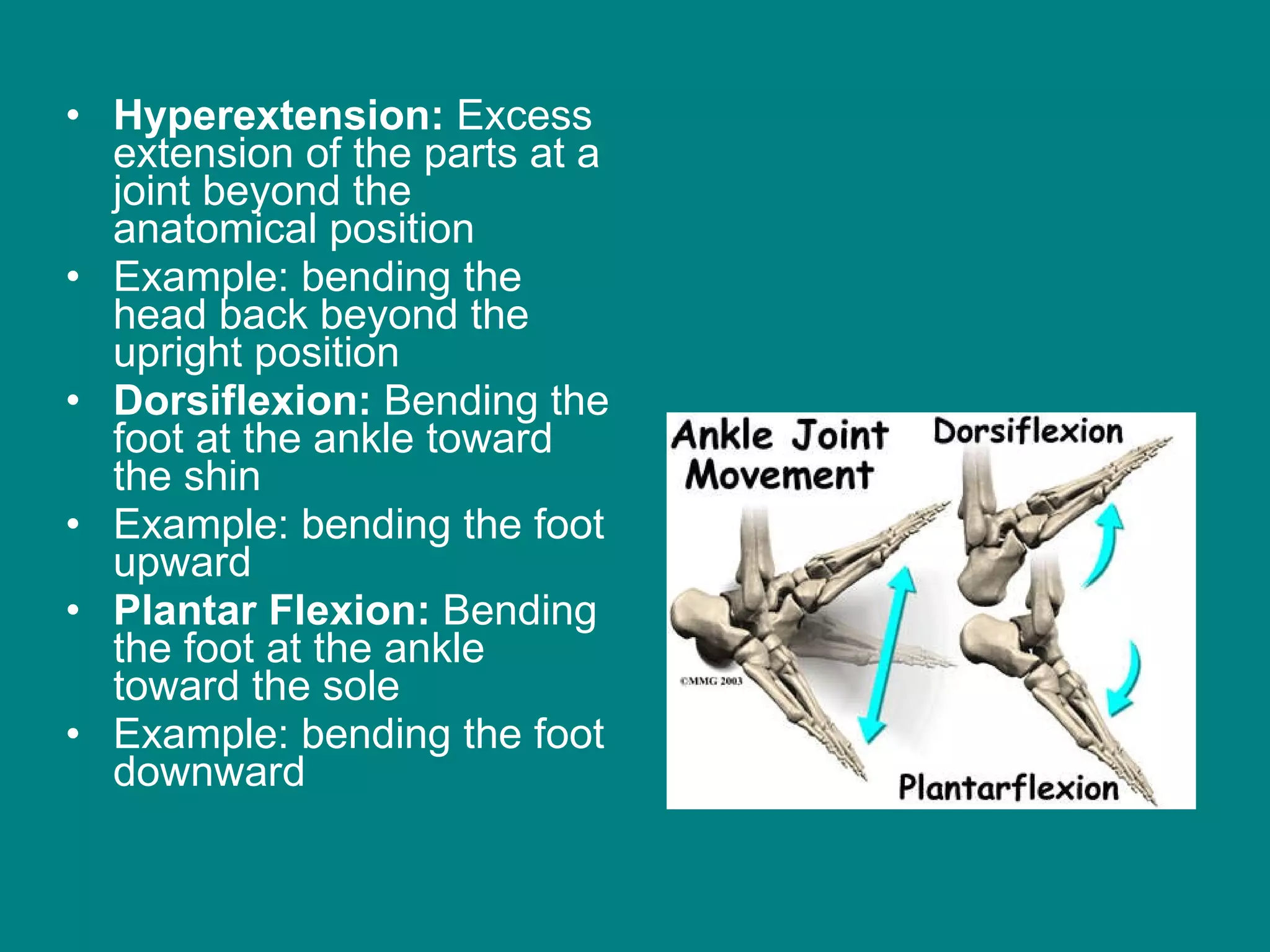 Hyperextension:  Excess extension of the parts at a joint beyond the anatomical position  Example: bending the head back beyond the upright position Dorsiflexion:  Bending the foot at the ankle toward the shin  Example: bending the foot upward Plantar Flexion:  Bending the foot at the ankle toward the sole  Example: bending the foot downward  