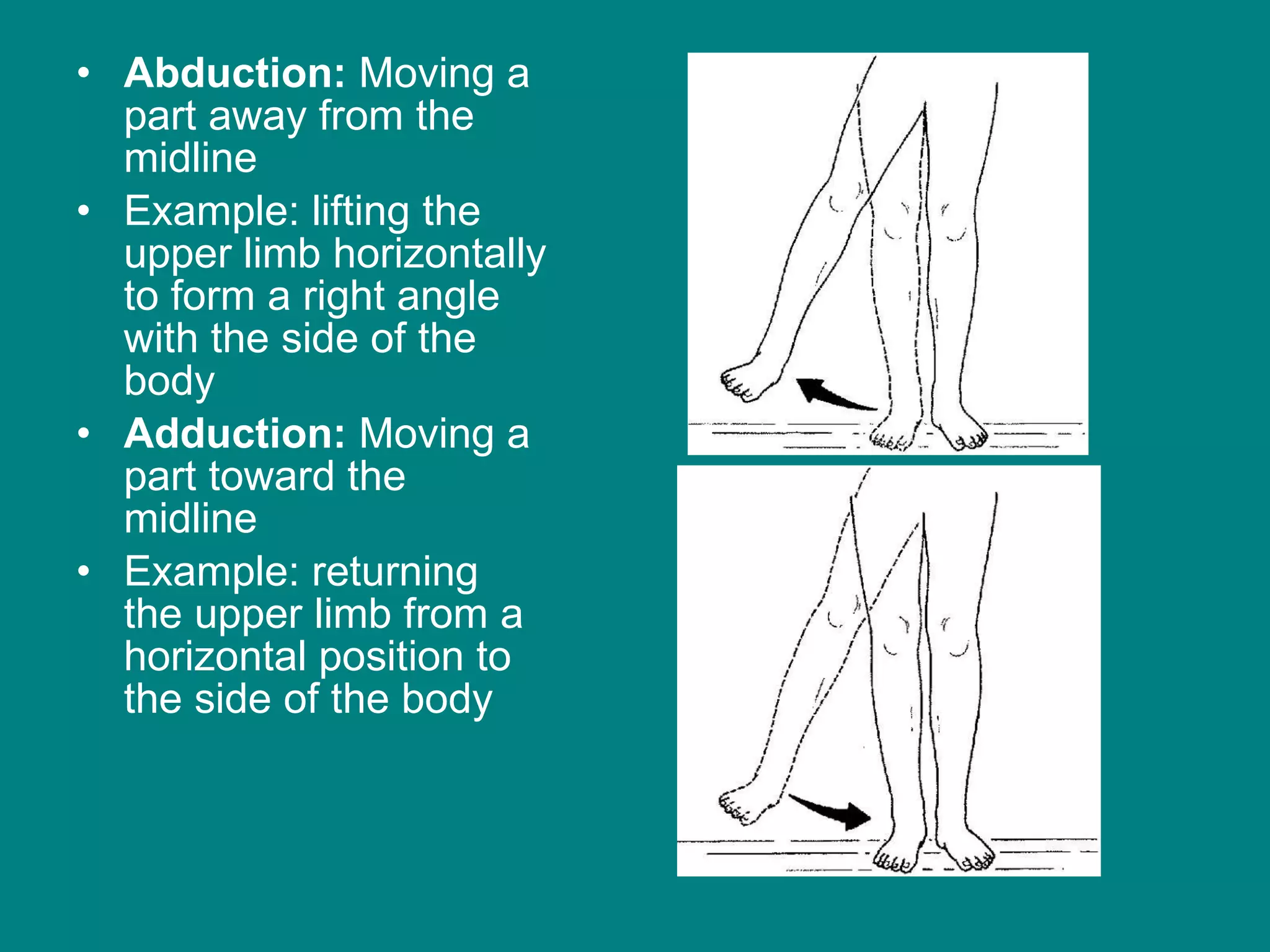 Abduction:  Moving a part away from the midline  Example: lifting the upper limb horizontally to form a right angle with the side of the body Adduction:  Moving a part toward the midline  Example: returning the upper limb from a horizontal position to the side of the body 