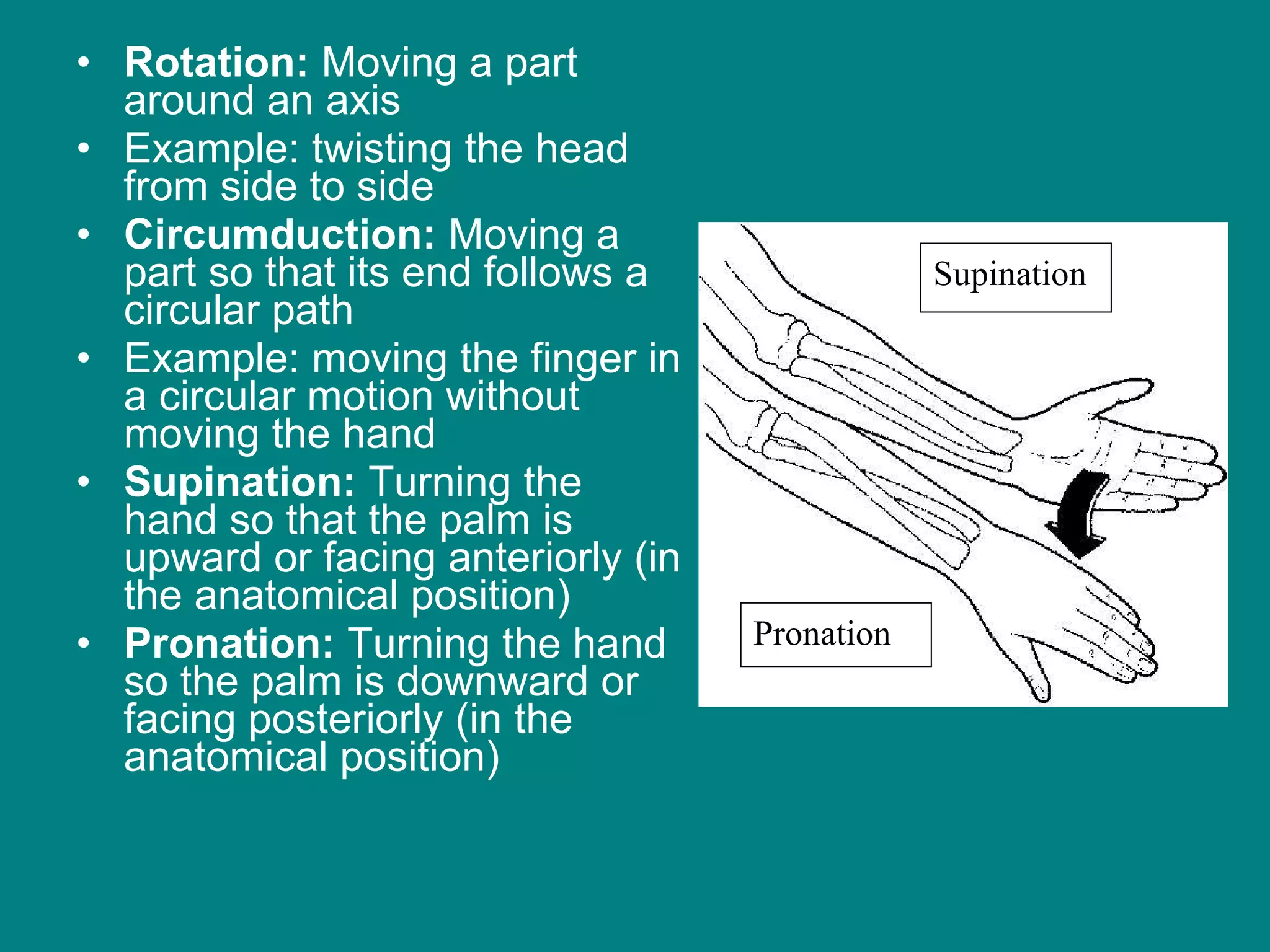Rotation:  Moving a part around an axis  Example: twisting the head from side to side Circumduction:  Moving a part so that its end follows a circular path Example: moving the finger in a circular motion without moving the hand Supination:  Turning the hand so that the palm is upward or facing anteriorly (in the anatomical position) Pronation:  Turning the hand so the palm is downward or facing posteriorly (in the anatomical position)  Pronation Supination 