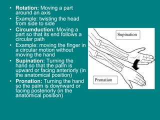 Rotation:  Moving a part around an axis  Example: twisting the head from side to side Circumduction:  Moving a part so that its end follows a circular path Example: moving the finger in a circular motion without moving the hand Supination:  Turning the hand so that the palm is upward or facing anteriorly (in the anatomical position) Pronation:  Turning the hand so the palm is downward or facing posteriorly (in the anatomical position)  Pronation Supination 