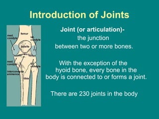 Introduction of Joints Joint (or articulation)-  the junction  between two or more bones. With the exception of the  hyoid bone, every bone in the  body is connected to or forms a joint.  There are 230 joints in the body 