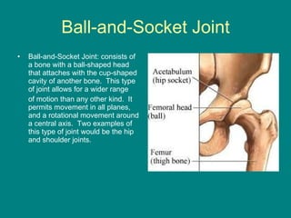 Ball-and-Socket Joint Ball-and-Socket Joint: consists of a bone with a ball-shaped head that attaches with the cup-shaped cavity of another bone.  This type of joint allows for a wider range  of motion than any other kind.  It permits movement in all planes, and a rotational movement around a central axis.  Two examples of this type of joint would be the hip and shoulder joints.  