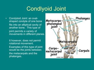 Condlyoid Joint  Condyloid Joint: an oval-shaped condyle of one bone  fits into an elliptical cavity of another bone.  This type of  joint permits a variety of movements in different planes.  It however, does not permit rotational movement.  Examples of this type of joint would be the joints between  the metacarpals and the phalanges. 