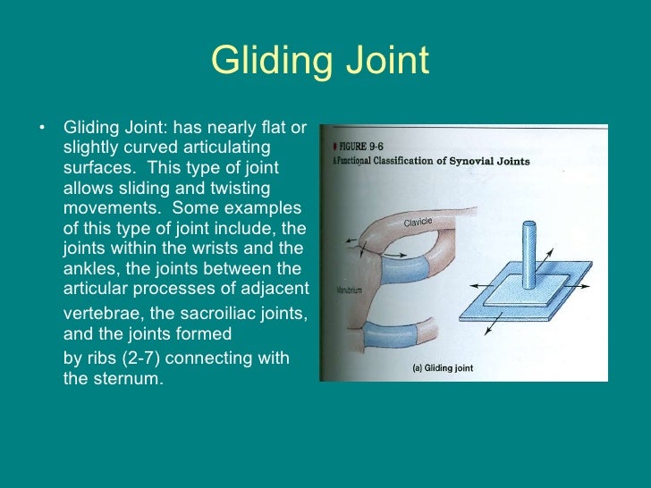 Joints powerpoint
