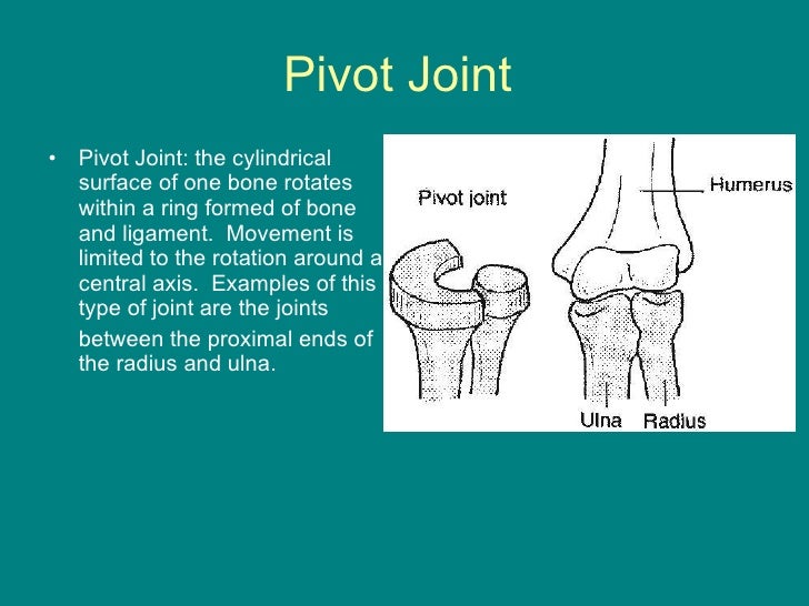 Joints powerpoint
