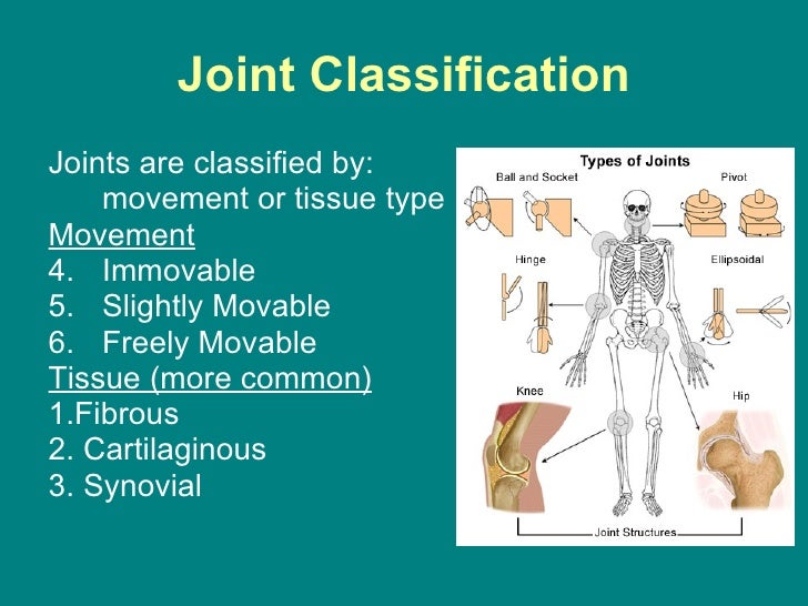 Joints powerpoint