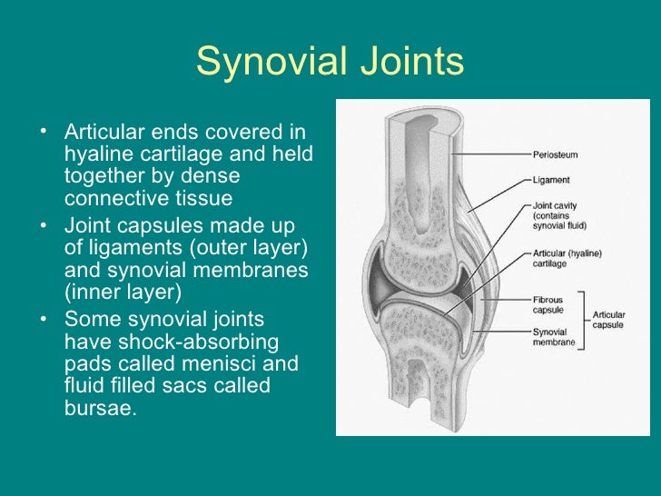 Joints powerpoint