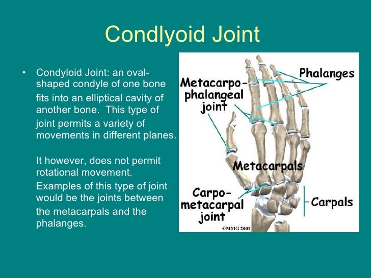 Joints powerpoint