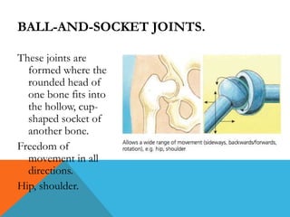 BALL-AND-SOCKET JOINTS.
These joints are
formed where the
rounded head of
one bone fits into
the hollow, cupshaped socket of
another bone.
Freedom of
movement in all
directions.
Hip, shoulder.

 