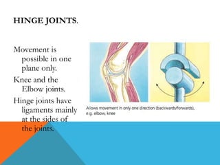 HINGE JOINTS.
Movement is
possible in one
plane only.
Knee and the
Elbow joints.
Hinge joints have
ligaments mainly
at the sides of
the joints.

 