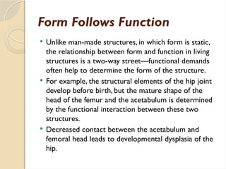 Comprehensive Overview of Human Joint Structure and Function in Health ...