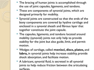 Comprehensive Overview of Human Joint Structure and Function in Health ...