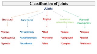Joints of Upper Limb - Bones, Ligaments, Nerve supply & Movements | PPT