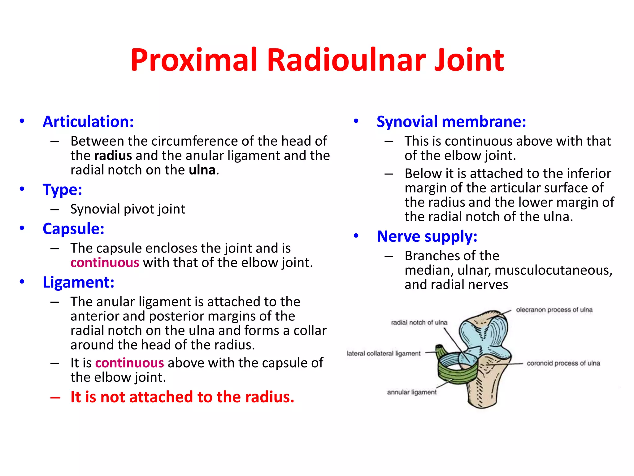 Elbow JointClinical NotesArthrocentesis of the Elbow JointThe anterior and posterior walls of the capsule are weak, and when the joint is distended with fluid, the posterior aspect of the joint becomes swollen.Aspiration of joint fluid can easily be performed through the back of the joint on either side of the olecranon process.Damage to the Ulnar Nerve With Elbow Joint InjuriesThe close relationship of the ulnar nerve to the medial side of the joint often results in its becoming damaged in dislocations of the joint or in fracture dislocations in this region. The nerve lesion can occur at the time of injury or weeks, months, or years later. The nerve can be involved in scar tissue formation or can become stretched owing to lateral deviation of the forearm in a badly reduced supracondylar fracture of the humerus. During movements of the elbow joint, the continued friction between the medial epicondyle and the stretched ulnar nerve eventually results in ulnar palsy.Radiology of the Elbow Region after InjuryIn examining lateral radiographs of the elbow region, it is important to remember that the lower end of the humerus is normally angulated forward 45° on the shaft; when examining a patient, the physician should see that the medial epicondyle, in the anatomic position, is directed medially and posteriorly and faces in the same direction as the head of the humerus.@@@@@@@@@@@@@