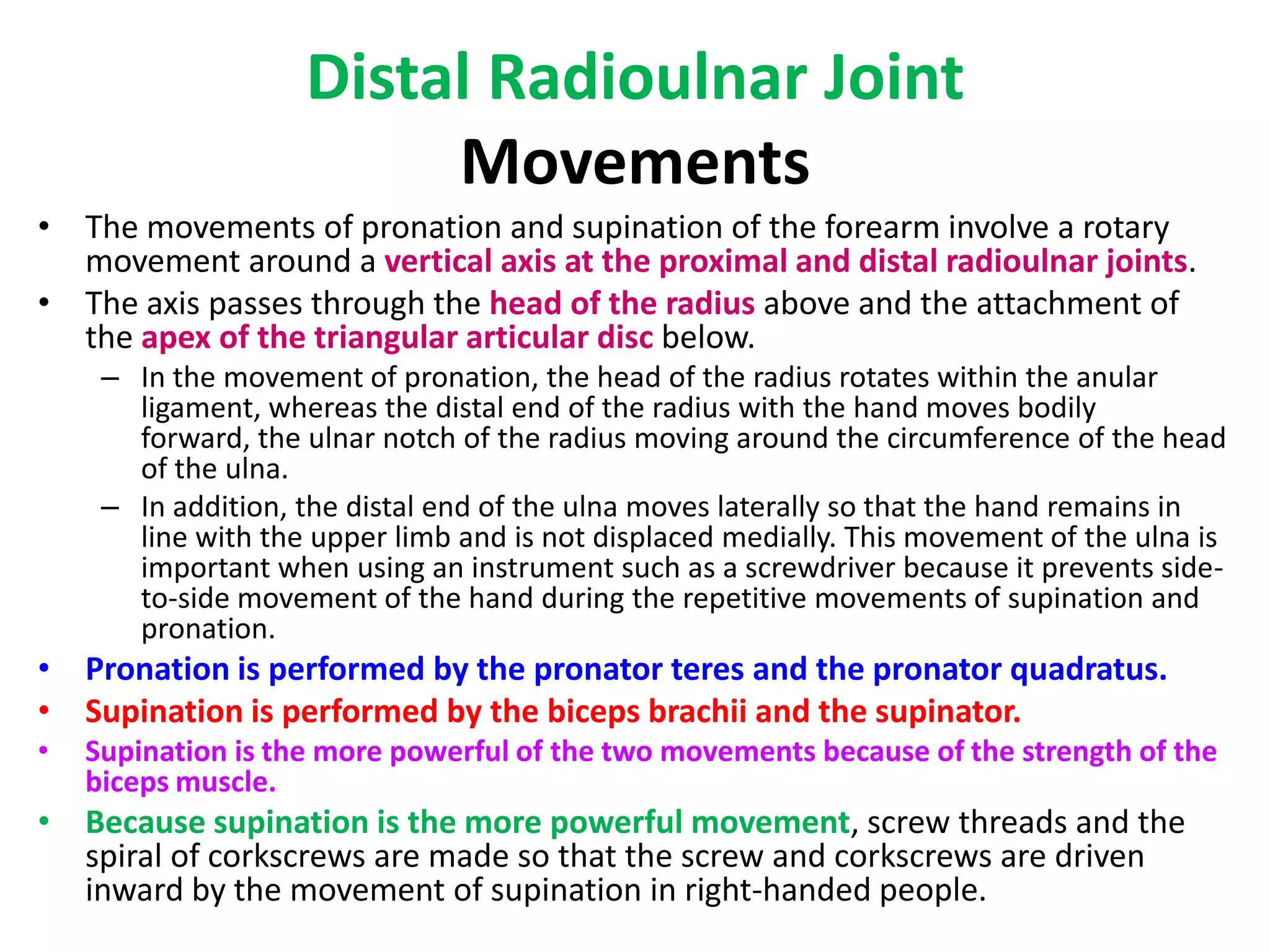 Distal Radioulnar JointArticulation: Between the rounded head of the ulna and the ulnar notch on the radius.Type: Synovial pivot jointCapsule: The capsule encloses the joint but is deficient superiorly.Ligaments: Weak anterior and posterior ligaments strengthen the capsule.Articular disc: This is triangular and composed of fibrocartilage. It is attached by its apex to the lateral side of the base of the styloid process of the ulna and by its base to the lower border of the ulnar notch of the radius.It shuts off the distal radioulnar joint from the wrist and strongly unites the radius to the ulna.Synovial membrane: This lines the capsule passing from the edge of one articular surface to that of the other.Nerve supply: Anterior interosseous nerve (branch of the median nerve),The deep branch of the radial nerve.