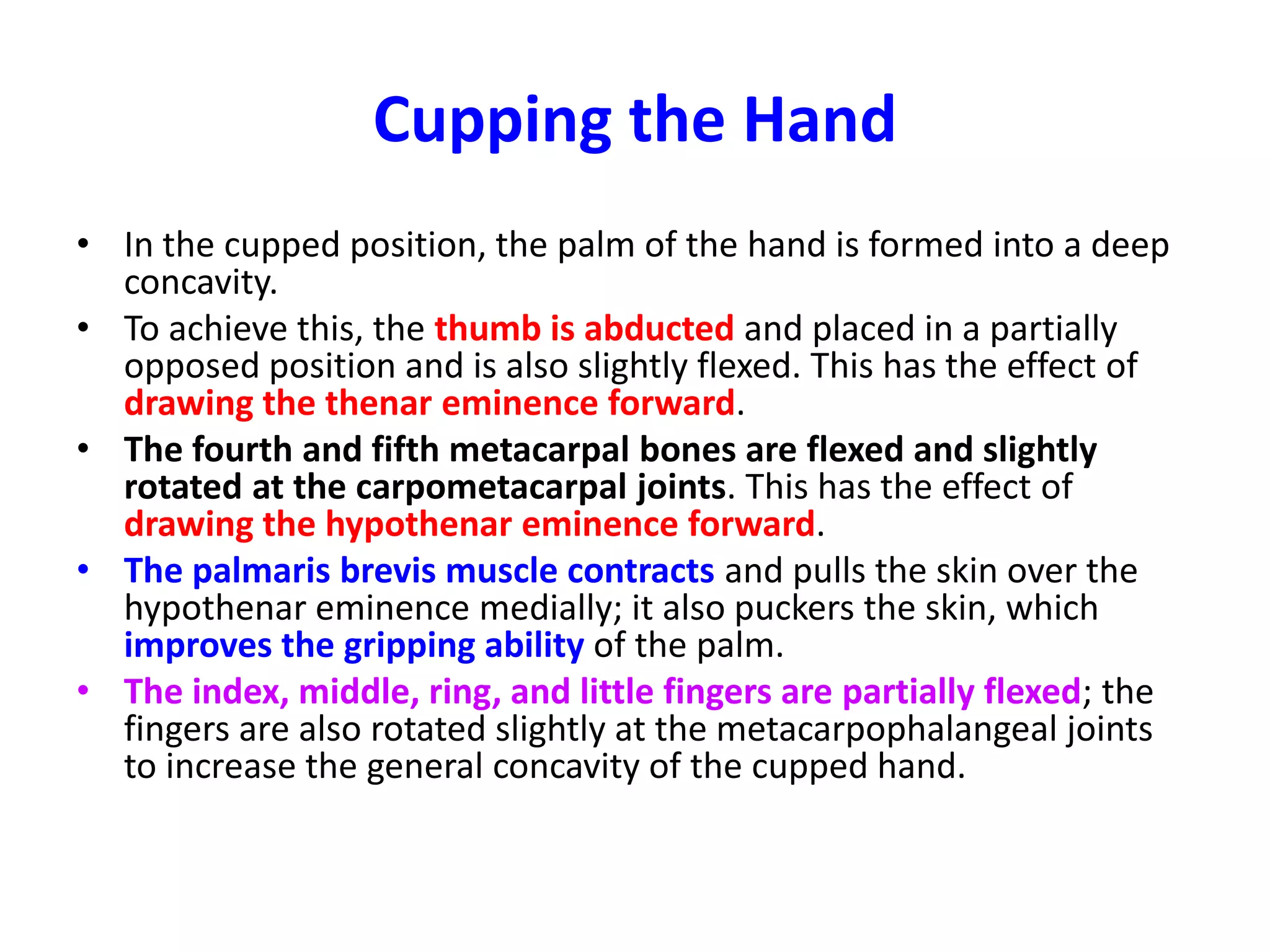 Movements of the Index, Middle, Ring, and Little FingersFlexion is the movement forward of the finger in an anteroposterior plane. The movement takes place at the interphalangeal and metacarpophalangeal joints. The distal phalanx is flexed by the flexor digitorum profundus, the middle phalanx by the flexor digitorum superficialis, and the proximal phalanx by the lumbricals and the interossei.Extension is the movement backward of the finger in an anteroposterior plane.The movements take place at the interphalangeal and metacarpophalangeal joints. The distal phalanx is extended by the lumbricals and interossei, the middle phalanx by the lumbricals and interossei, and the proximal phalanx by the extensor digitorum (in addition, by the extensor indicis for the index finger and the extensor digiti minimi for the little finger).Abduction is the movement of the fingers (including the middle finger) away from the imaginary midline of the middle finger.The movement takes place at the metacarpophalangeal joint. The muscles producing the movement are the dorsal interossei; the abductor digiti minimi abducts the little finger.Adduction is the movement of the fingers toward the midline of the middle finger.The movement takes place at the metacarpophalangeal joint. The muscles producing the movement are the palmar interossei.Abduction and adduction of the fingers are possible only in the extended position.In the flexed position of the finger, the articular surface of the base of the proximal phalanx lies in contact with the flattened anterior surface of the head of the metacarpal bone. The two bones are held in close contact by the collateral ligaments, which are taut in this position.In the extended position of the metacarpophalangeal joint, the base of the phalanx is in contact with the rounded part of the metacarpal head, and the collateral ligaments are slack.