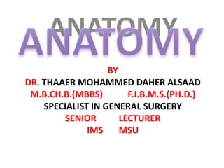 ANATOMY ANATOMY By Dr. THAAER MOHAMMED DAHER ALSAAD M.B.Ch.B.(MBBS)           F.I.B.M.S.(Ph.D.) SPECIALIST IN GENERAL SURGERY SENIOR          LECTURER IMS       MSU 