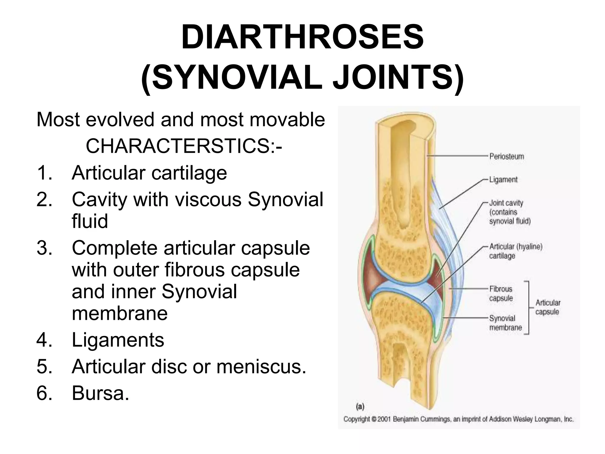 DIARTHROSES
(SYNOVIAL JOINTS)
Most evolved and most movable
CHARACTERSTICS:-
1. Articular cartilage
2. Cavity with viscous Synovial
fluid
3. Complete articular capsule
with outer fibrous capsule
and inner Synovial
membrane
4. Ligaments
5. Articular disc or meniscus.
6. Bursa.
 