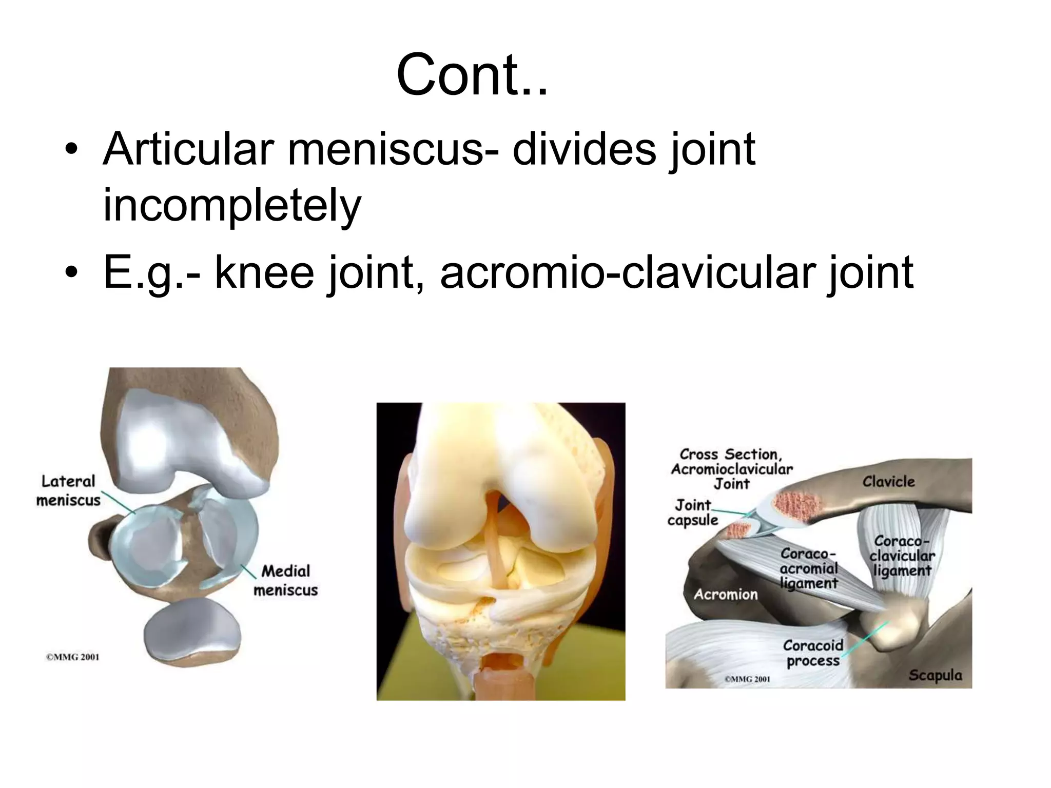 Cont..
• Articular meniscus- divides joint
incompletely
• E.g.- knee joint, acromio-clavicular joint
 
