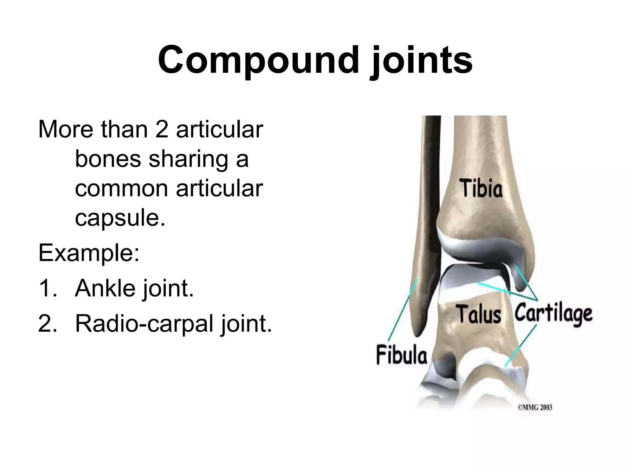 Compound joints
More than 2 articular
bones sharing a
common articular
capsule.
Example:
1. Ankle joint.
2. Radio-carpal joint.
 