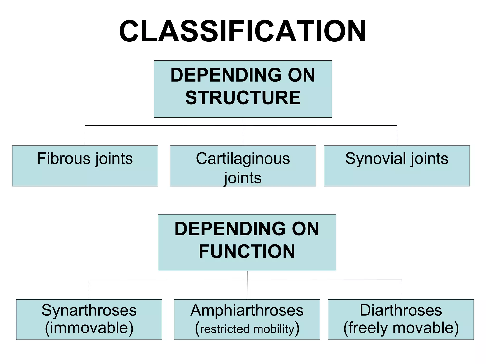 CLASSIFICATION
DEPENDING ON
STRUCTURE
Cartilaginous
joints
Fibrous joints Synovial joints
Amphiarthroses
(restricted mobility)
Synarthroses
(immovable)
Diarthroses
(freely movable)
DEPENDING ON
FUNCTION
 