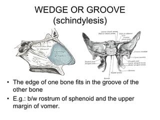 WEDGE OR GROOVE
(schindylesis)
• The edge of one bone fits in the groove of the
other bone
• E.g.: b/w rostrum of sphenoid and the upper
margin of vomer.
 