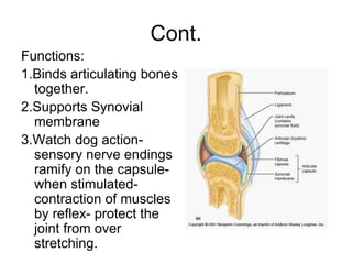 Cont.
Functions:
1.Binds articulating bones
together.
2.Supports Synovial
membrane
3.Watch dog action-
sensory nerve endings
ramify on the capsule-
when stimulated-
contraction of muscles
by reflex- protect the
joint from over
stretching.
 