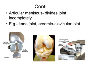 Cont..
• Articular meniscus- divides joint
incompletely
• E.g.- knee joint, acromio-clavicular joint
 