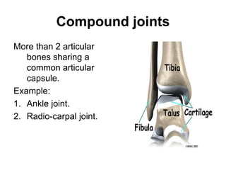 Compound joints
More than 2 articular
bones sharing a
common articular
capsule.
Example:
1. Ankle joint.
2. Radio-carpal joint.
 