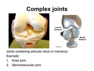 Complex joints
Joints containing articular discs or meniscus
Example:
1. Knee joint.
2. Sternoclavicular joint.
 