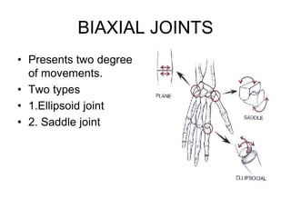 BIAXIAL JOINTS
• Presents two degree
of movements.
• Two types
• 1.Ellipsoid joint
• 2. Saddle joint
 