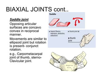 BIAXIAL JOINTS cont..
Saddle joint
Opposing articular
surfaces are concavo
convex in reciprocal
manner.
Movements are similar to
ellipsoid joint but rotation
is present- conjunct
rotation.
e.g., Carpometacarpal
joint of thumb, sterno-
Clavicular joint.
 