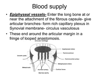 Blood supply
• Epiphyseal vessels- Enter the long bone at or
near the attachment of the fibrous capsule- give
articular branches- form rich capillary plexus in
Synovial membrane- circulus vasculosus
• These end around the articular margin in a
fringe of looped anastomosis.
 